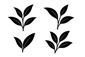 Tea plant leaf silhouette set with transparent background