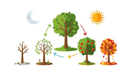 Fototapeta premium Tree Life Cycle Seasons: Spring, Summer, Autumn, Winter, Growth, Nature, Time Lapse