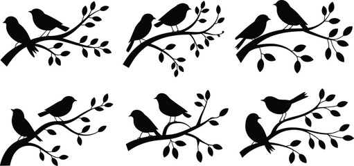 Bird silhouettes on tree branches isolated on white background, black songbird vector illustration set for nature design, spring decor and wildlife artwork © MstFerdousi