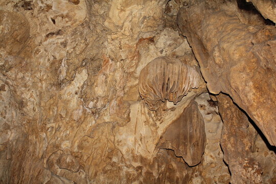 A close-up of geological formations inside a limestone cave, featuring stalactites and flowstones with a distinct "mushroom" or coral-like shape.  It is located in Pindul Cave, Yogyakarta, Indonesia.