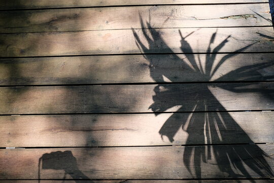 old wooden background
