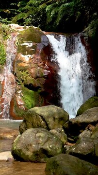 Slow motion majestic vertical view of a hidden tropical waterfall flowing down steep mossy rocks into a river in Bogor, Indonesia.
