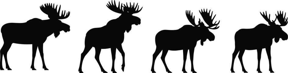 Moose silhouette collection vector illustration, black wild elk and reindeer poses isolated on white background, majestic antlered wildlife animal design set © SreePobitra
