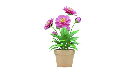 Fototapeta premium Pink Peony Plant in Terracotta Pot