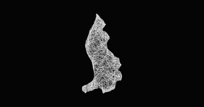 Sketch Liechtenstein outline map animation - smooth progressive reveal