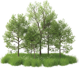 Green Trees on Grassy Hill Isolated on White Background