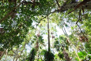 Beautiful nature photographs with a serene background.