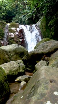 Slow motion vertical view showing the naturally flowing water of the Curug Gleweran waterfall in Bogor, Indonesia surrounded by tropical plants.