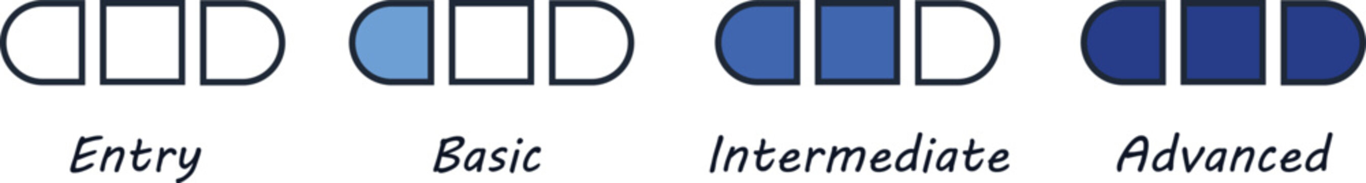 Skill level scale icon progression from entry to advanced, Career growth stages scale beginner to expert vector Illustration.