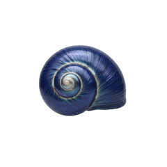 Vibrant Blue Iridescent Spiral Snail Shell