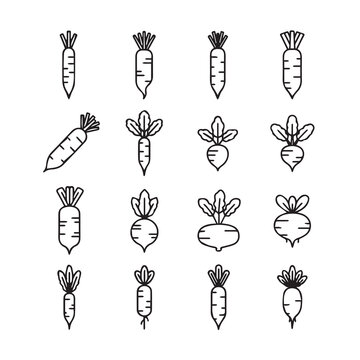 Root Vegetable Icons Set: Carrots and Radishes Line Art Collection