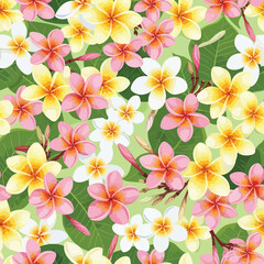 Obraz premium Colorful Plumeria Flowers Pattern