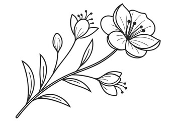 Clean minimal flower line drawing, trendy micro tattoo emblem, organic botanical elements, high-resolution vector 2