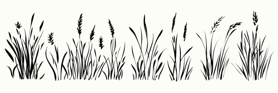 Hand drawn black ink grass silhouettes with wheat and tall meadow plants sketch set isolated on white background minimalist vector illustration for natural design elements and rustic backgrounds