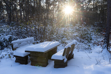 Snowy bench in nature park D&uuml;bener Heide, Germany