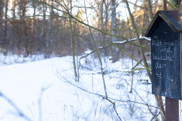 D&uuml;bener Heide in winter, Germany, Delitzsch