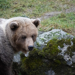 Region Teutoburger Wald
