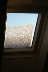 snow on the dormer window with the sun shining on it