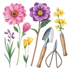 set of flowers with garden tools ,isolated on transparent png
