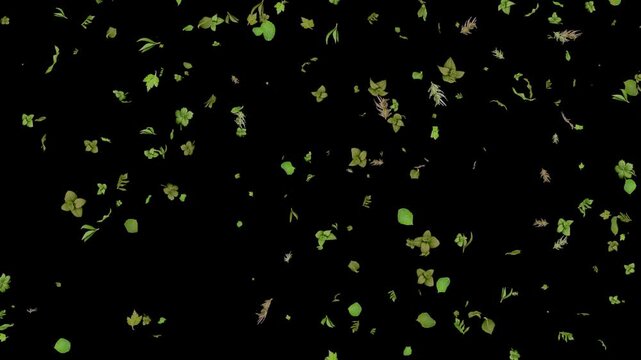 Fresh Herb Leaves Falling on Transparent Background (Alpha Channel)(1)
フレッシュなハーブの葉が舞い散るアルファチャンネル付き背景素材
