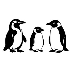 Obraz premium penguin