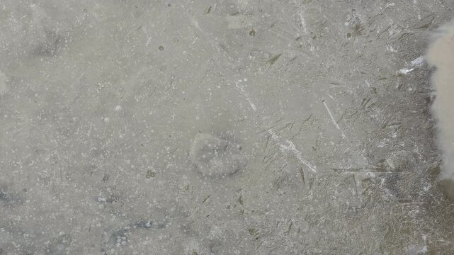A layer of thin, translucent ice covers a murky puddle of dirty water. A heavy object presses down, causing the frozen surface to fracture into sharp shards with a crisp splintering sound.