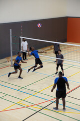 Fototapeta premium Opposing male volleyball teams leaping at net, spiking ball in gym with blue jerseys, knee-pads