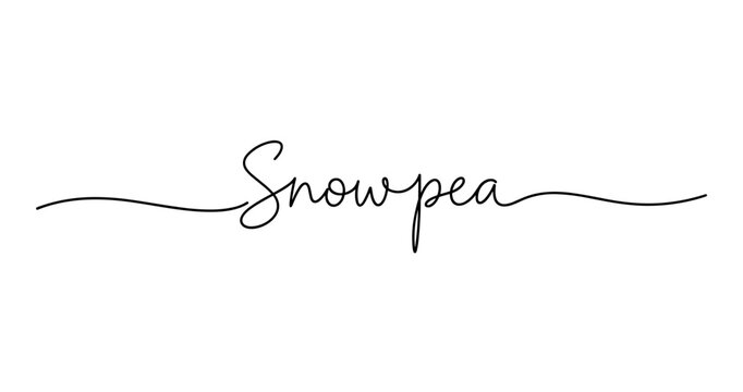 Elegant snowpea script font with decorative swashes. No editable strokes