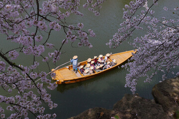 桜と和船