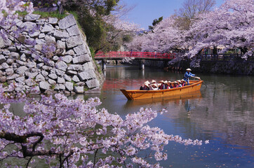 桜と和船