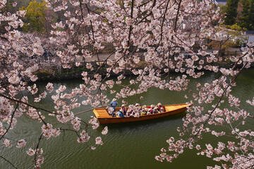 桜と和船