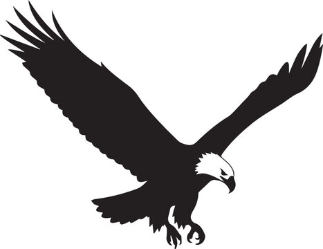 Majestic bald eagle landing vector silhouette illustration with spread wings and line art