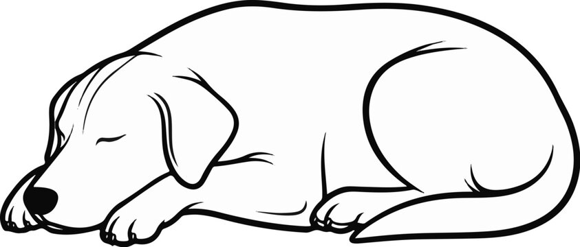 A black and white sketch of a dog sleeping peacefully curled up on its side