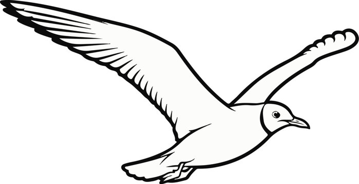 A black and white line drawing of a seagull in flight with wings outstretched