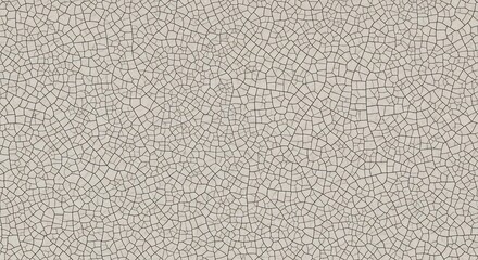 Fototapeta premium Abstract Cracked Earth Texture Background Pattern.