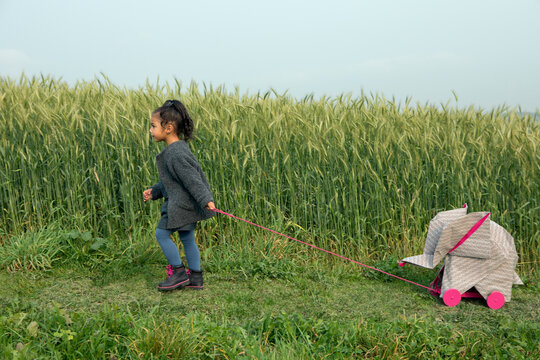 Little girl pulling origami elephant on rolls at field