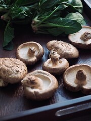 신선한 유기농 시금치와 표고버섯