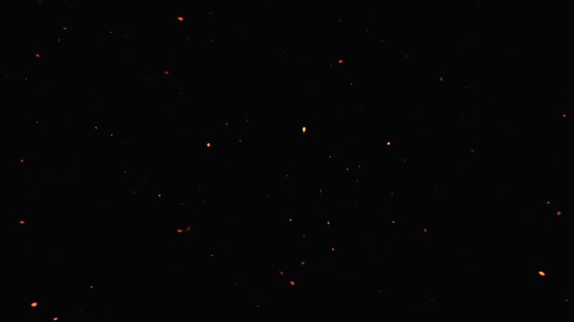 Glowing embers and sparks floating upwards against a seamless black backdrop perfect overlay.