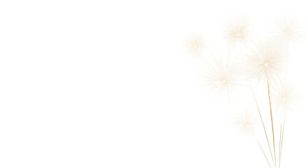 Obraz premium Luminous golden fireworks bursts, shimmering starburst patterns with intricate light trails, varying sizes, captured mid-burst, on a transparent seamless studio background with ample copy space,