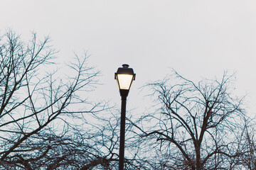 Street lamp stands tall among bare trees in a cloudy sky during the late afternoon in a quiet urban area