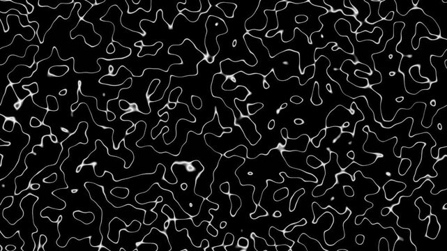 Abstract white lines on a black background forming intricate patterns.