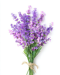 Beautiful bouquet of fresh lavender flowers.