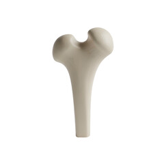Fototapeta premium Isolated, stylized render of a human femur on a black background