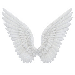 Obraz premium A white wing sculpture on a white background isolated on transparent background