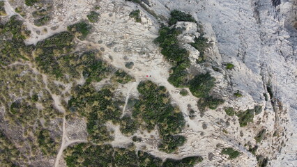 Winding Trails Through Eroded Limestone Formations On Sunlit Rugged Shoreline With Scattered Plants