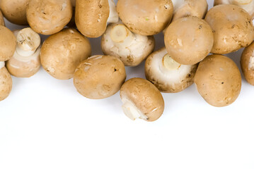 Fototapeta premium Champignon mushrooms on a white background with space for text