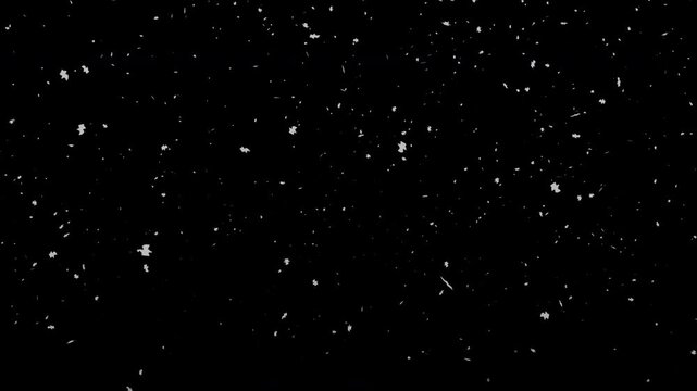 Realistic snow falling black background effect overlay motion graphic suitable for winter, holiday, festive events, and video projects.