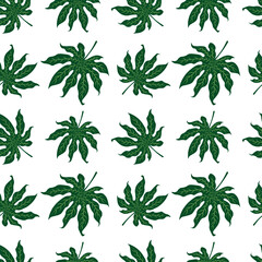 Trendy Seamless pattern of green tropical leaves on a white background