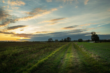 Obraz premium A dirt road between fields on an autumn evening