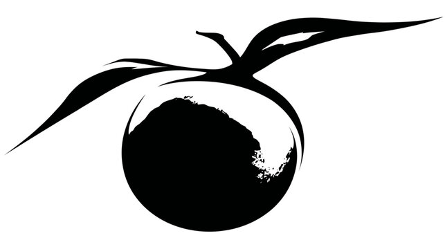 A simple, abstract illustration of a fruit with leaves in black and white, against a white background